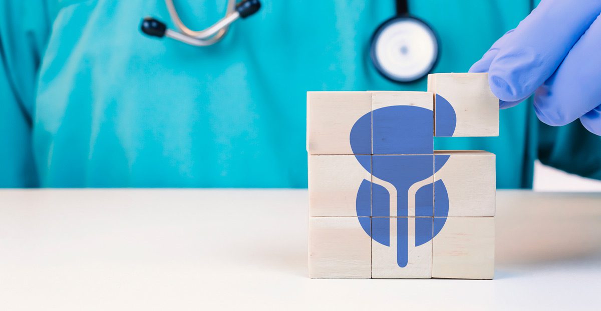 Bladder-and-prostate-cancer-medical-concept Bladder-and-prostate-cancer-medical-concept