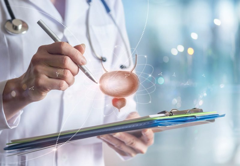 Concept-of-doctor-examining-bladder Concept-of-doctor-examining-bladder