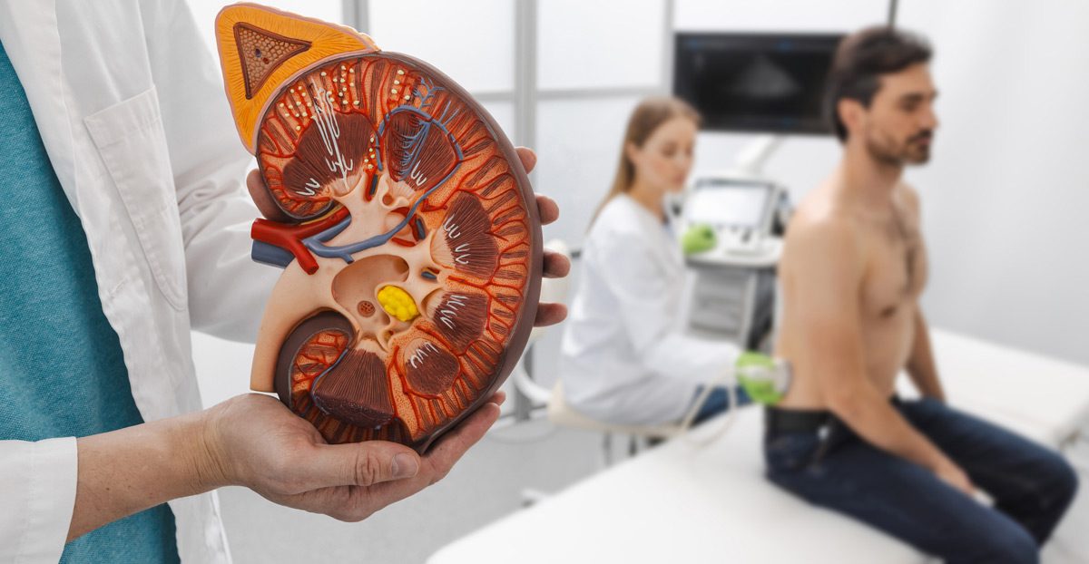 Process-of-ultrasound-examination-of-kidneys