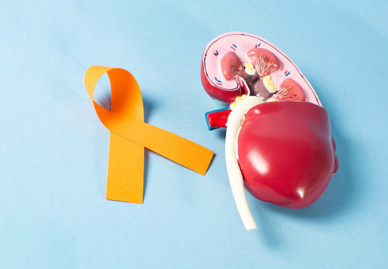 World-Kidney-Cancer-Day-and-organ-donation-concept World-Kidney-Cancer-Day-and-organ-donation-concept